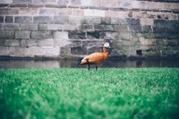 www.unsplash.com
